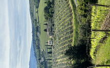 Foto lämnats av gäst på Tenuta - Tenuta 4