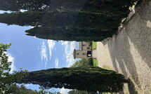 Foto lämnats av gäst på Tenuta - Tenuta 4