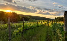 Foto lämnats av gäst på Villa Il Caggio