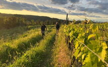 Foto lämnats av gäst på Villa Il Caggio