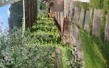 Foto lämnats av gäst på Villa Bellostare