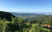 Foto lämnats av gäst på Villa Portole Due