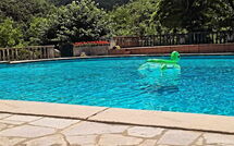 Foto lämnats av gäst på Villa Contessa