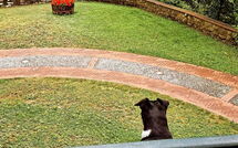 Foto lämnats av gäst på Villa Contessa