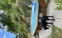 Foto lämnats av gäst på Casale di Cozzile