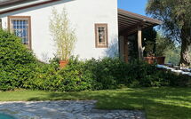 Foto lämnats av gäst på Villa Oliveta