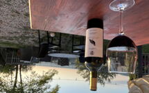 Foto lämnats av gäst på Panzalla - Rondini