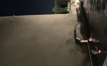 Foto lämnats av gäst på Casa Lionardo