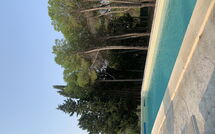 Foto lämnats av gäst på Nerodavola