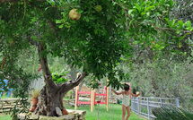 Foto lämnats av gäst på Villa Eftychia