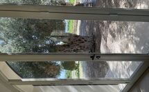 Foto lämnats av gäst på Tenuta Olearum