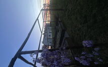 Foto lämnats av gäst på Il Sole di Vino - Sole di Vino - 1