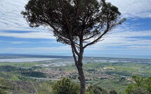 Foto lämnats av gäst på Casarosa di Mariasole