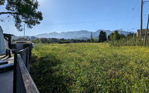 Foto lämnats av gäst på Beach Villa Christina