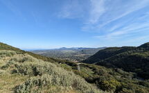Foto lämnats av gäst på Beach Villa Christina