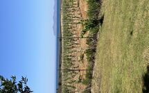 Foto lämnats av gäst på Villa Casale