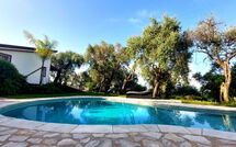 Foto lämnats av gäst på Villa Oliveta