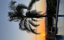 Foto lämnats av gäst på Villa Kois