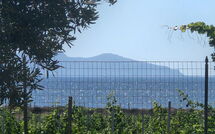 Foto lämnats av gäst på Villa Casale