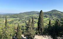 Foto lämnats av gäst på Villa Capolona