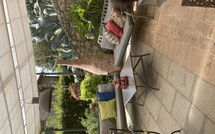 Foto lämnats av gäst på Villa Nova