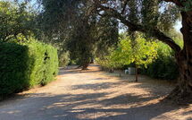 Foto lämnats av gäst på Villa Armonia