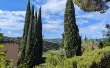 Foto lämnats av gäst på Bigiolo a Melazzano