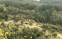 Foto lämnats av gäst på Villa Portole Due