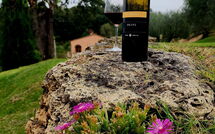 Foto lämnats av gäst på Villa le Buche