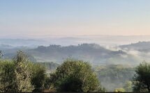 Foto lämnats av gäst på Casa Andrea