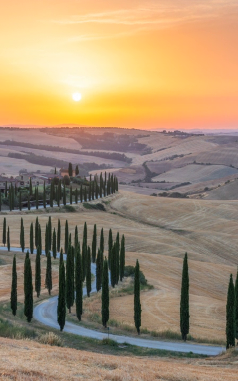 Villor på Landsbygden – Bo avskilt i naturen